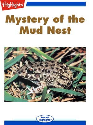 cover image of Mystery of the Mud Nest